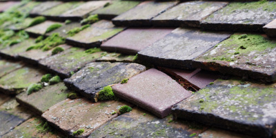 Emberton roof repair costs